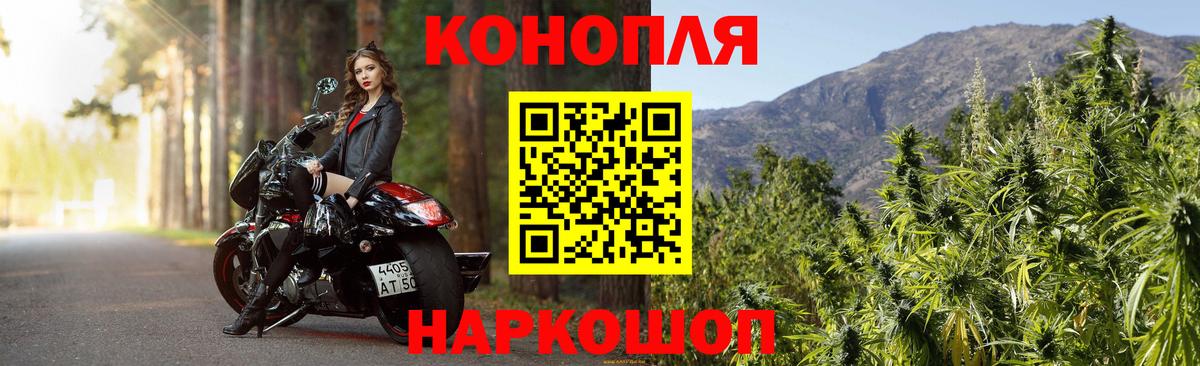 Бошки Шишки семена  Марихуана LSD WEED  Россия  Конопля сатива  Каннабис OG Kush  Вход с VPN 